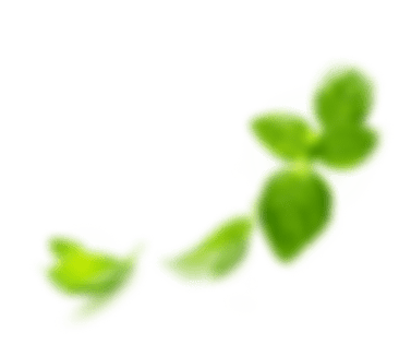 Shape Image